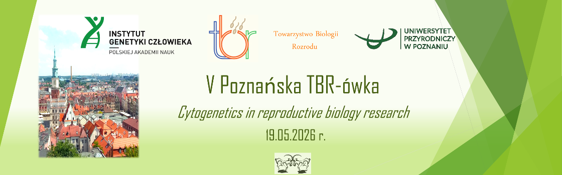 TBRowki_slider5